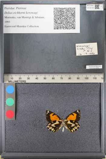 Media type: image;   Entomology 140138